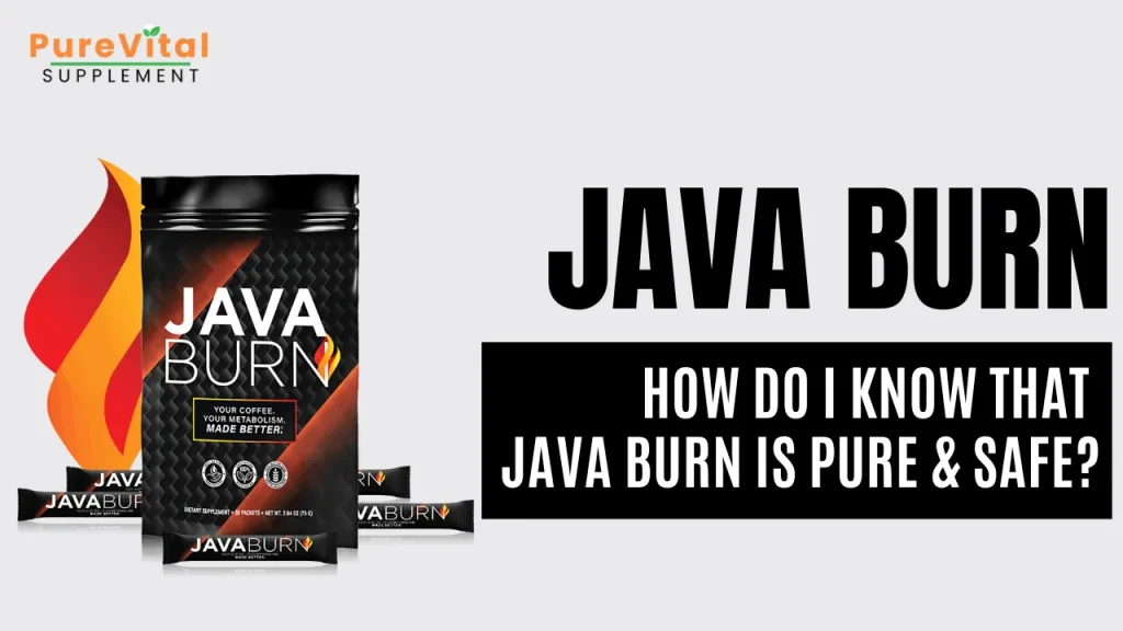 Java Brun Reviews