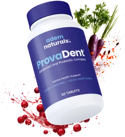 <strong>ProvaDent</strong>